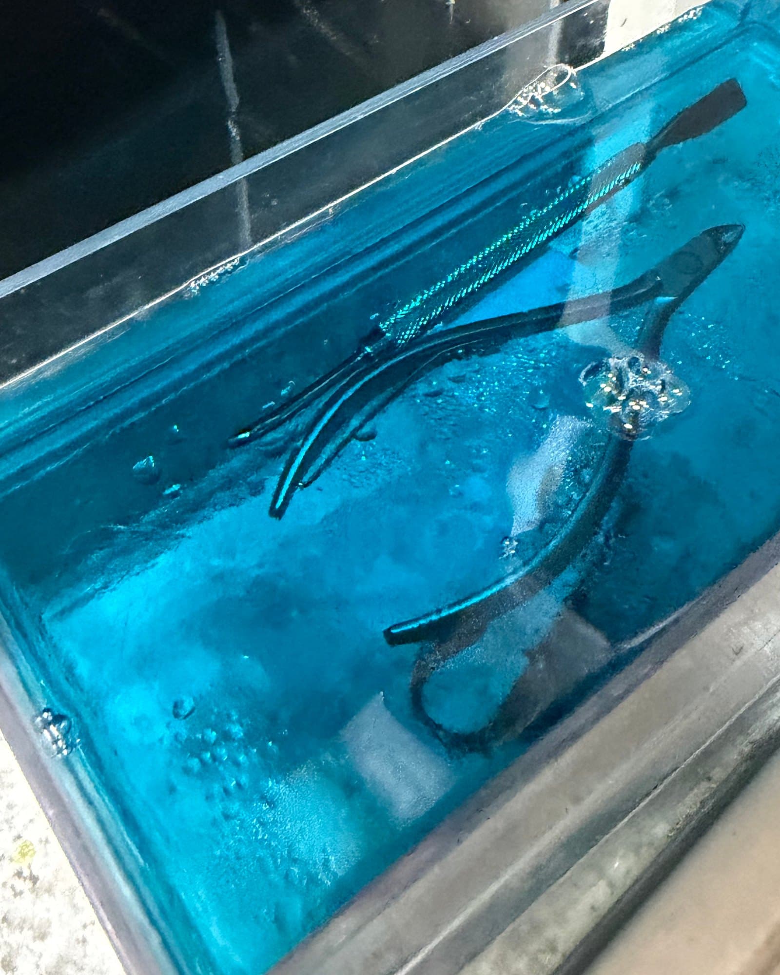 Metal nail tools soaking in a clear tray of blue solution